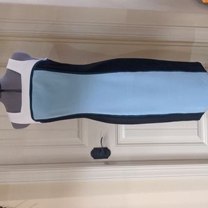 White House Black Market sheath dress.